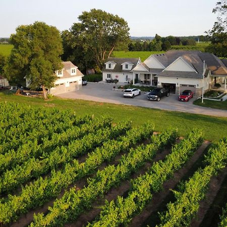 Villa In The Vines Niagara-on-the-Lake Eksteriør billede