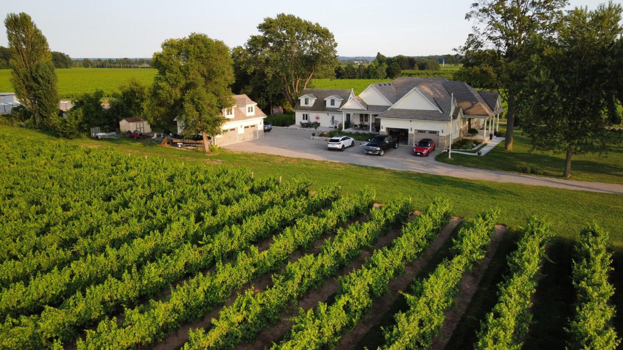 Villa In The Vines Niagara-on-the-Lake Eksteriør billede